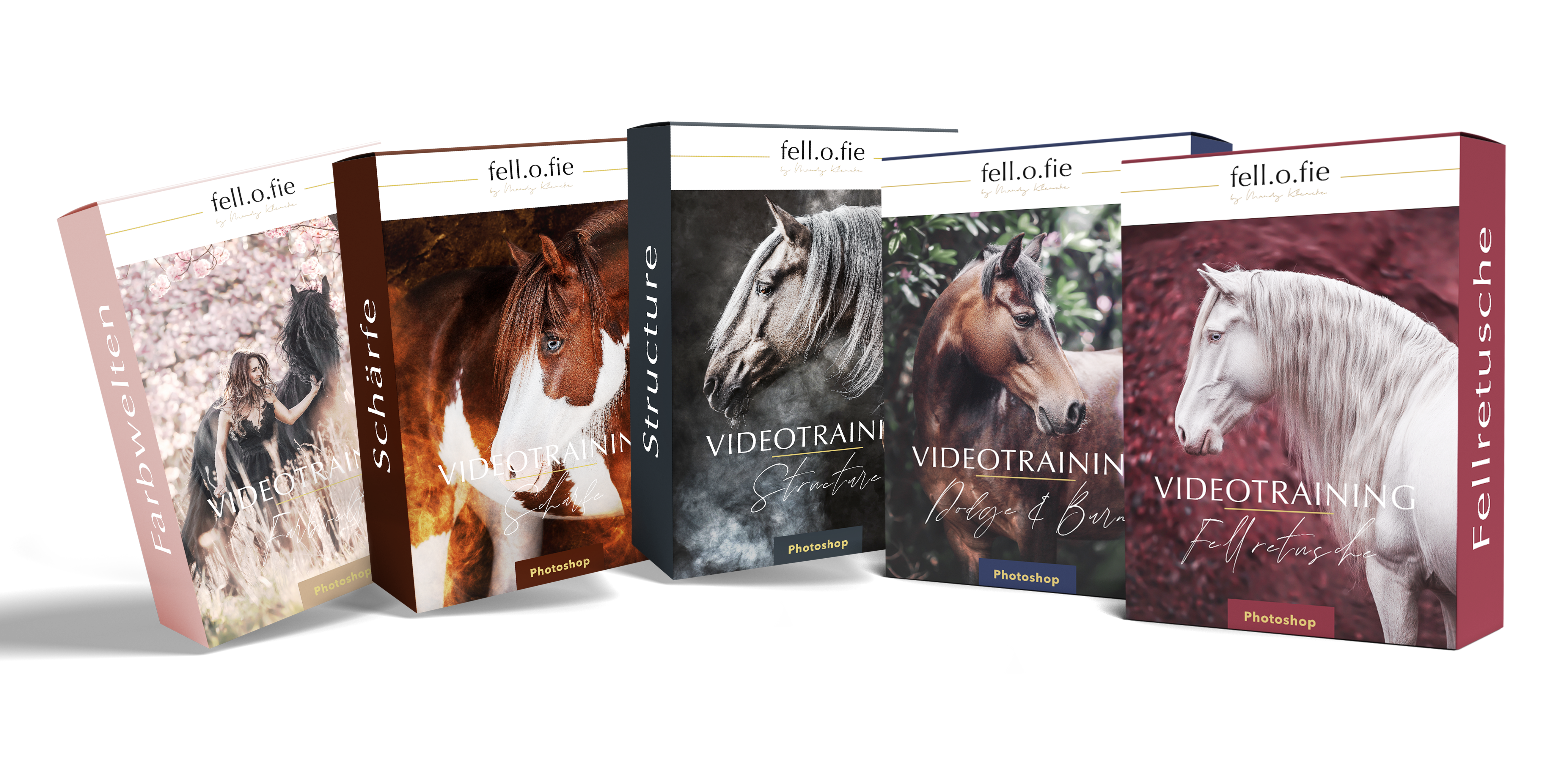 Allin_Bundle